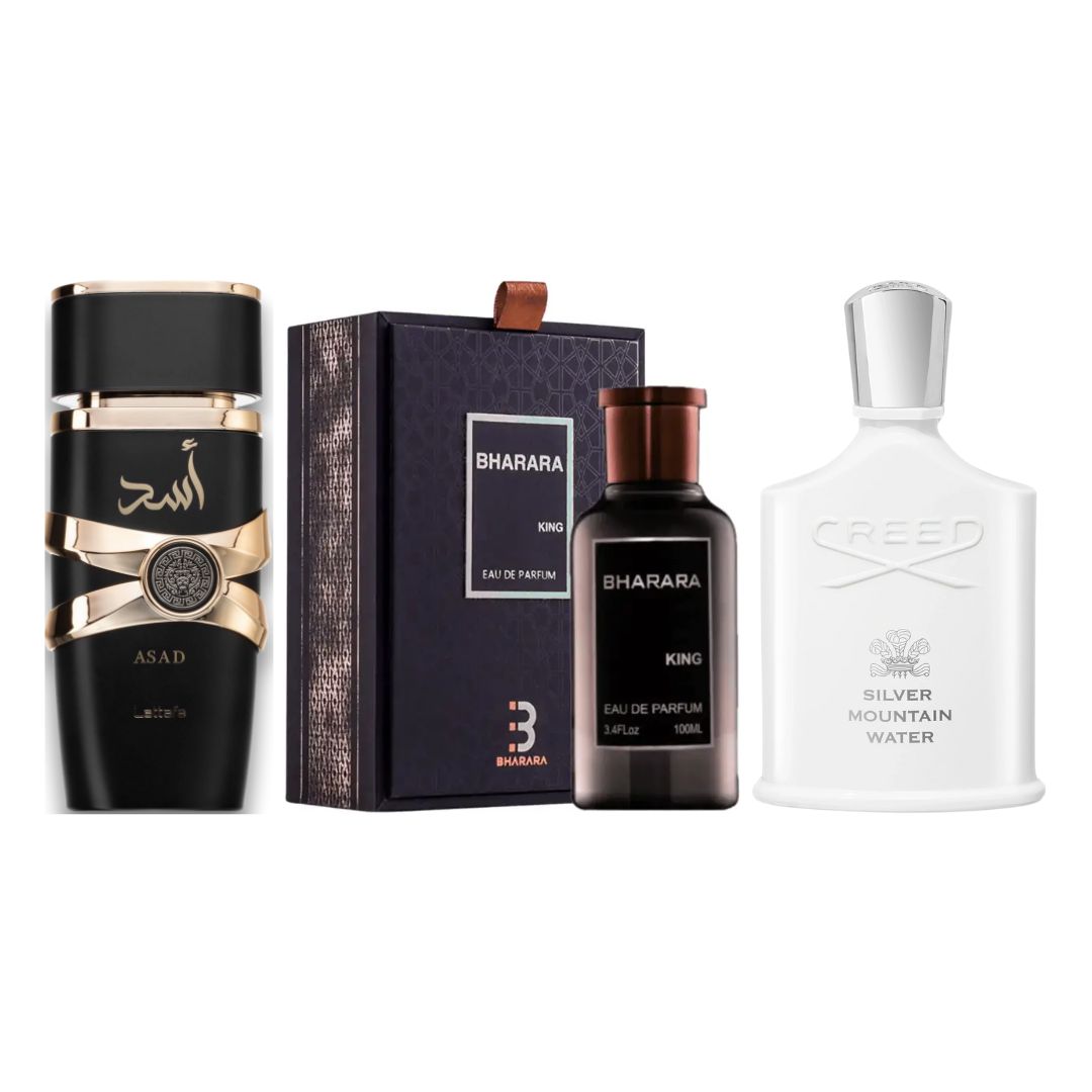 BHARARAKINGESTUCHE+SILVER+ASAD